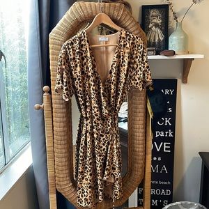 Aritzia Babaton Wallace dress